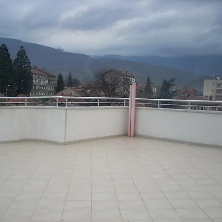 Gelov ベルコヴィツァ