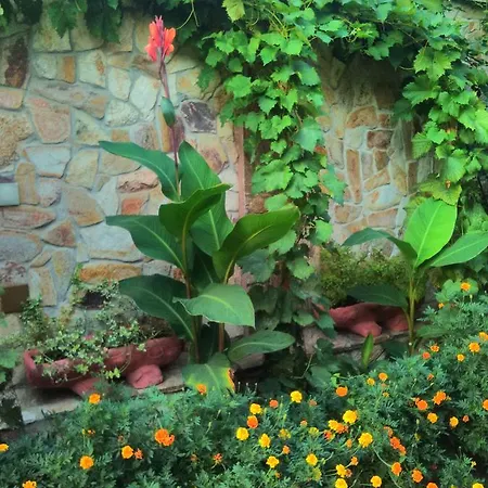 ホテル Gelov ベルコヴィツァ