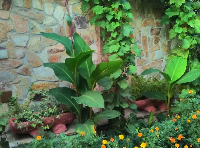 ホテル Gelov ベルコヴィツァ